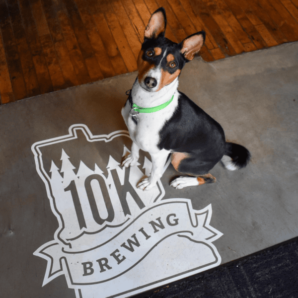 10k brewery dog lets vet together