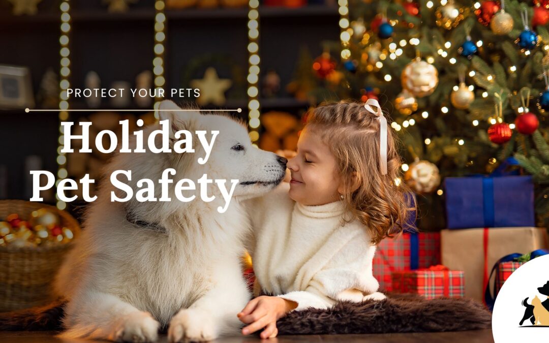 Holiday Safety Tips for Pets: Protecting Your Furry Friends During Festive Celebrations