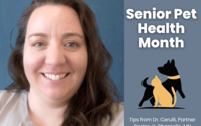 Senior Pet Health Month! Tips from Dr. Cerulli, Partner Doctor of our Champlin MN Hospital