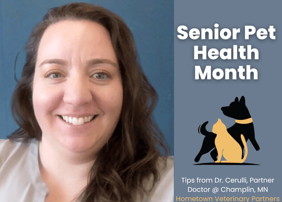 Senior Pet Health Month! Tips from Dr. Cerulli, Partner Doctor of our Champlin MN Hospital