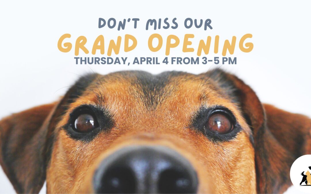 Grand Opening of Hometown Veterinary Champlin, MN | April 4, 2024