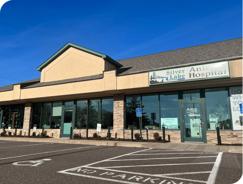 Silver Lake Animal Hospital in St. Paul Minnesota