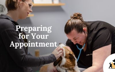 Preparing for Your Vet Appointment