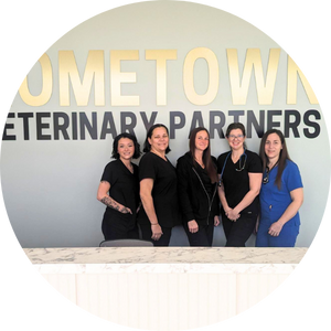 Hometown Veterinary Partners team members looking at dog