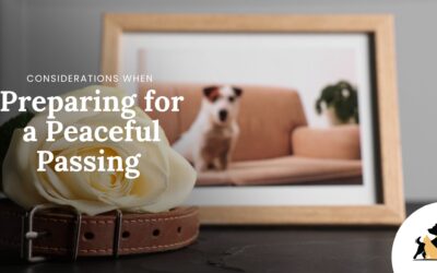 Preparing for a Peaceful Passing: Considerations for You and Your Pet