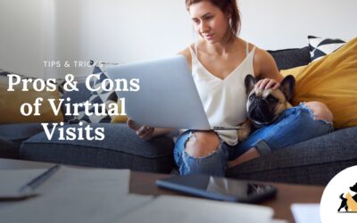 Pros and Cons of Virtual Vet Visits: Can I see the Vet Online?