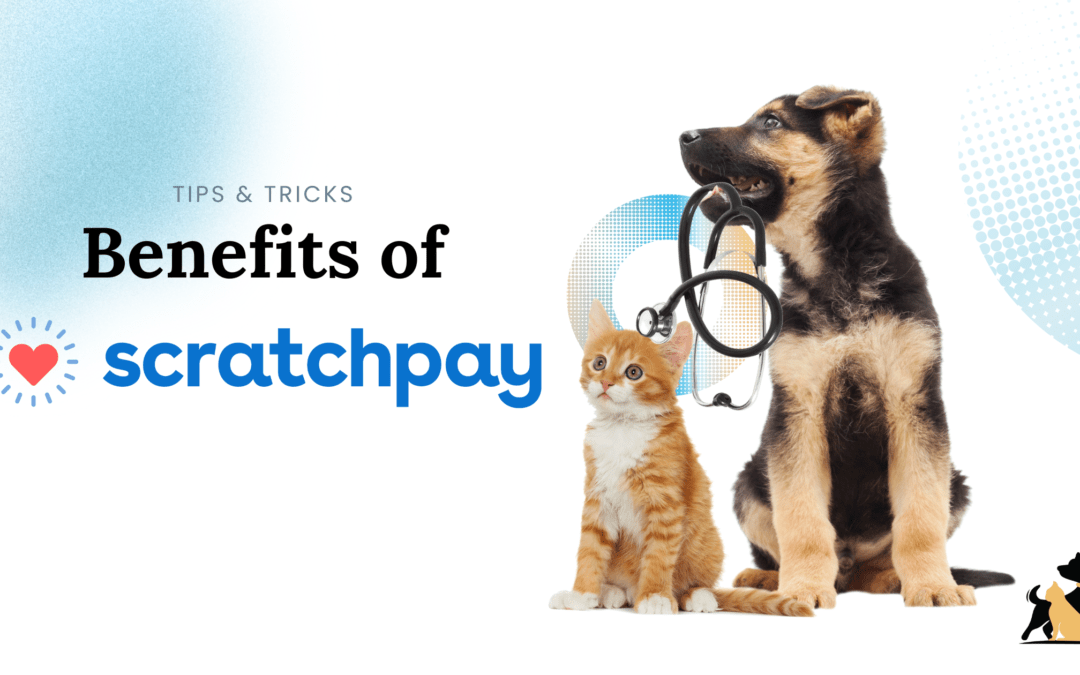 The Benefits of Scratchpay for Veterinary Care