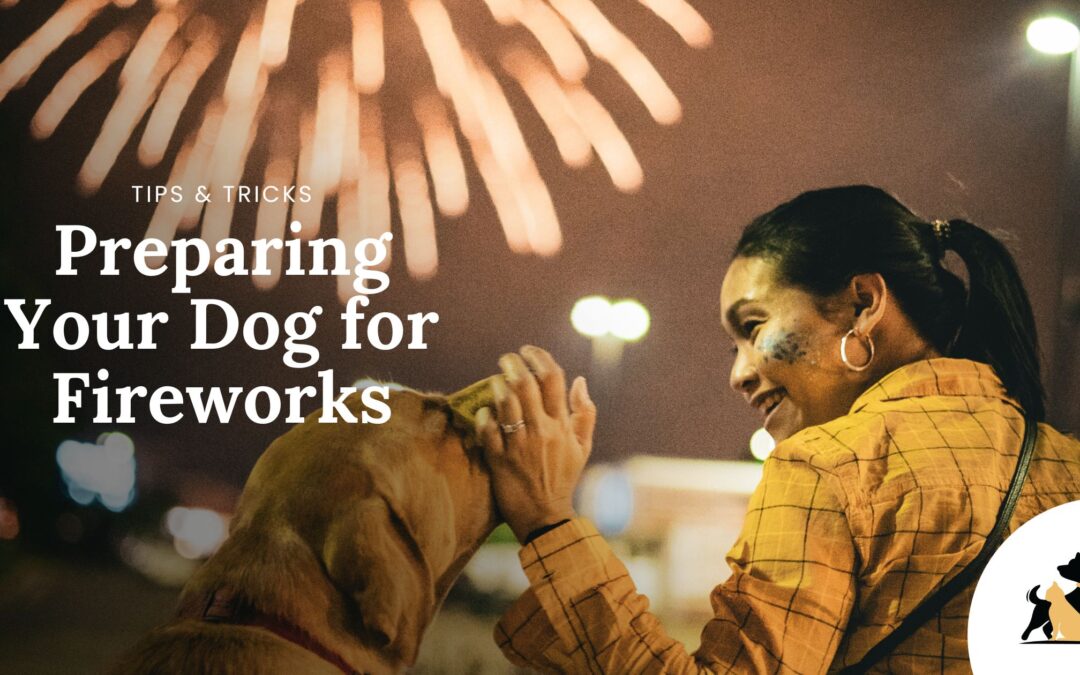 Preparing Your Dog for Fireworks During the 4th of July 