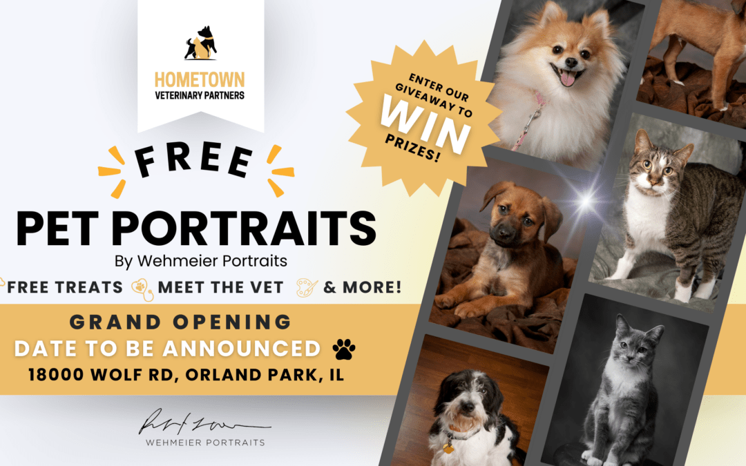 Grand Opening of Hometown Veterinary Orland Park, IL