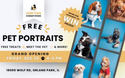 Grand Opening of Hometown Veterinary Orland Park, IL | December 20, 2024