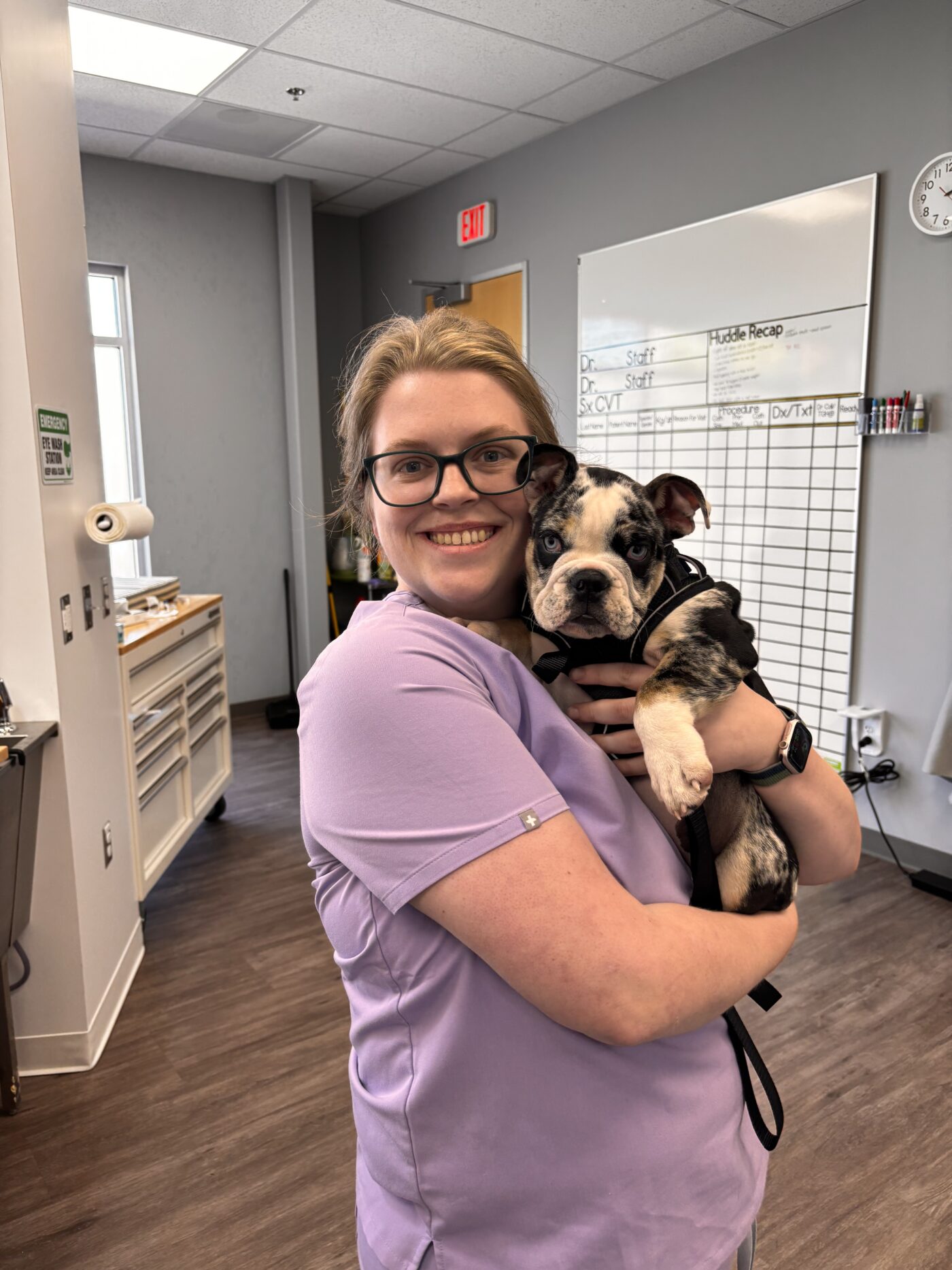 About Us | Hometown Veterinary Partners