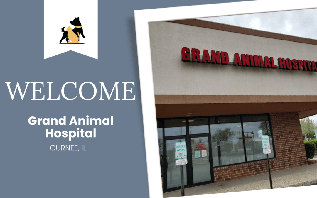 Grand Animal Hospital is Acquired and Rebrands to Hometown Veterinary Partners Gurnee