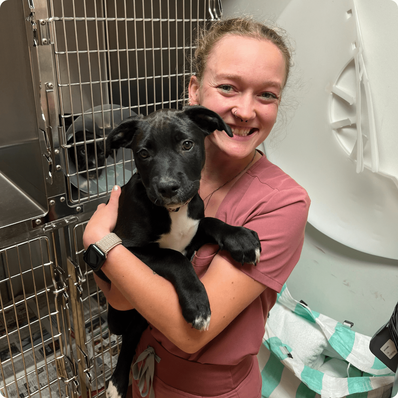 Team looking at dog at Hometown Veterinary Partners