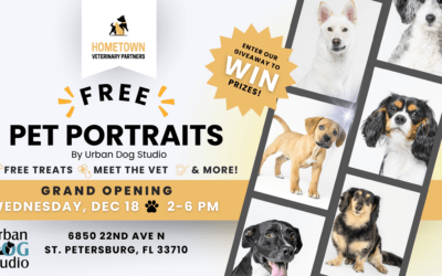 Grand Opening Celebration December 18, 2024 of Hometown Veterinary St. Petersburg, FL