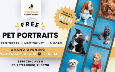 Grand Opening of Hometown Veterinary St. Petersburg, FL | December 18, 2024