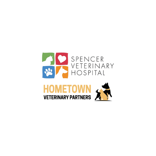 Spencer x HVP