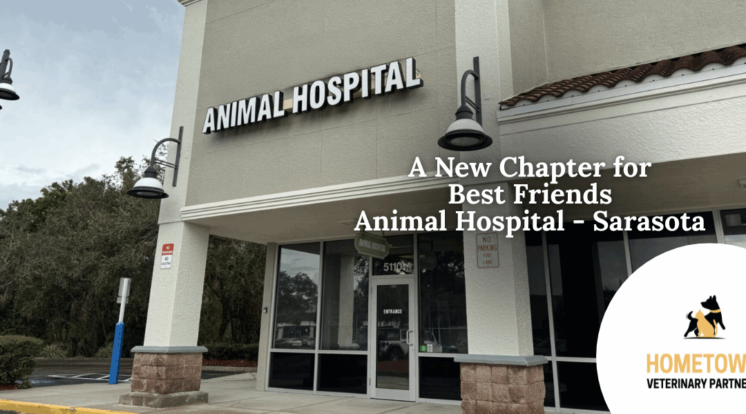 A New Chapter for Best Friends Animal Hospital – Sarasota