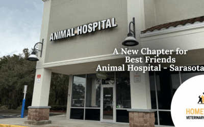 A New Chapter for Best Friends Animal Hospital – Sarasota