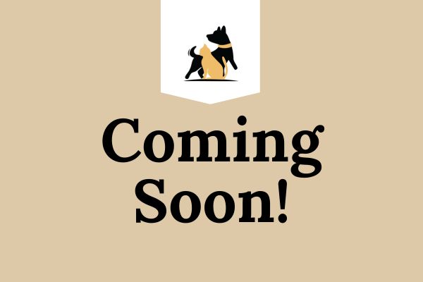 Coming Soon 1 1 4