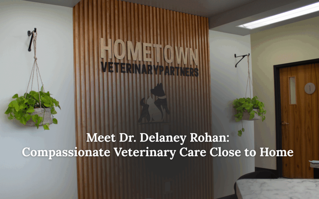 Meet Dr. Delaney Rohan: Compassionate Veterinary Care Close to Home