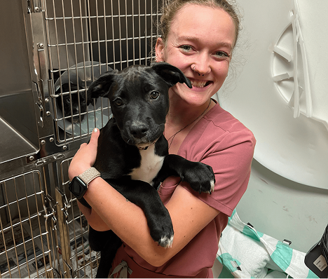 Team member with dog