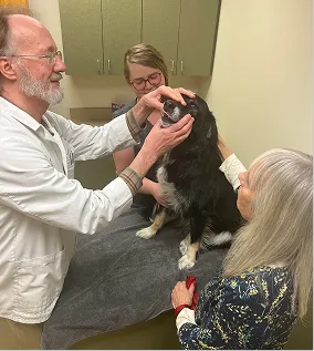 dog with vet